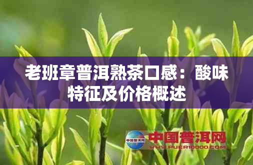 老班章普洱熟茶口感：酸味特征及价格概述