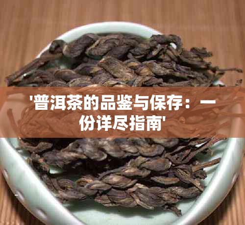 '普洱茶的品鉴与保存：一份详尽指南'