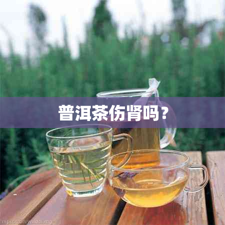 普洱茶伤肾吗？