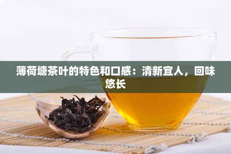 薄荷塘茶叶的特色和口感：清新宜人，回味悠长