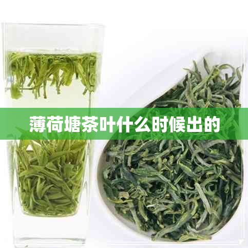 薄荷塘茶叶什么时候出的