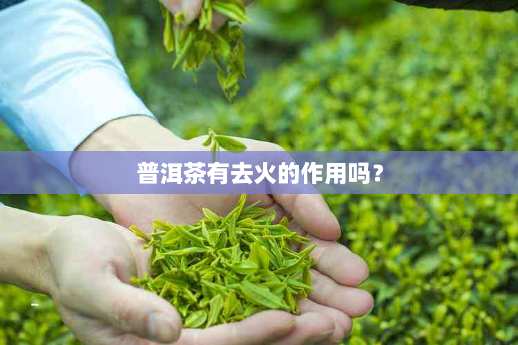 普洱茶有去火的作用吗？