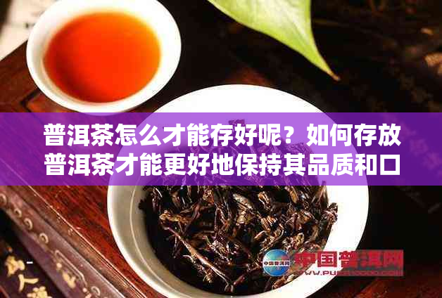 普洱茶怎么才能存好呢？如何存放普洱茶才能更好地保持其品质和口感？