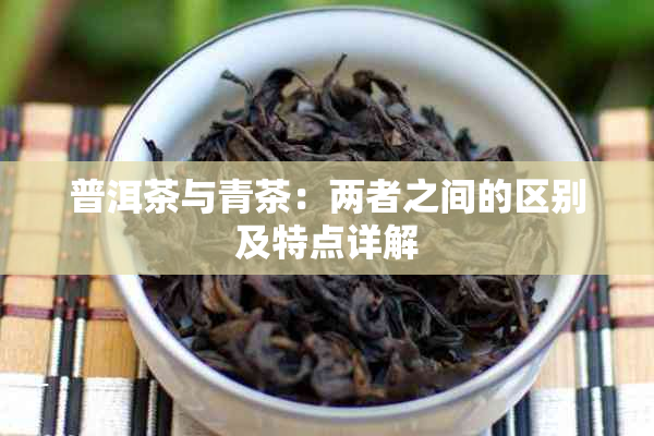 普洱茶与青茶：两者之间的区别及特点详解