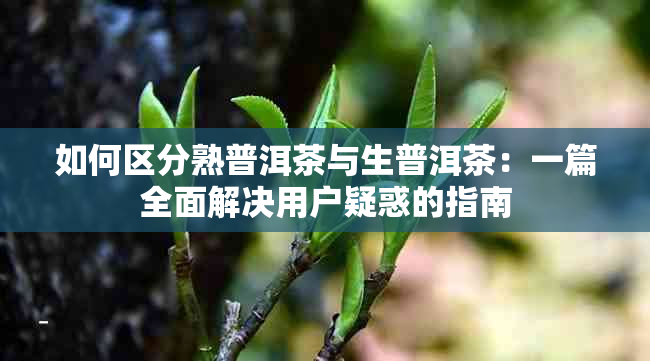 如何区分熟普洱茶与生普洱茶：一篇全面解决用户疑惑的指南