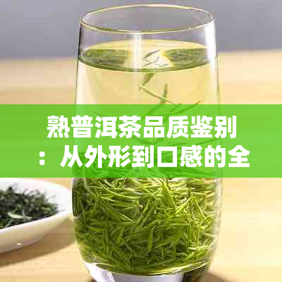 熟普洱茶品质鉴别：从外形到口感的全方位指南