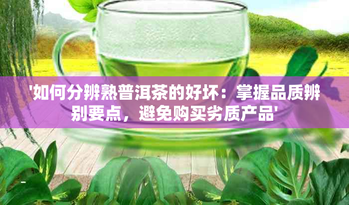 '如何分辨熟普洱茶的好坏：掌握品质辨别要点，避免购买劣质产品'