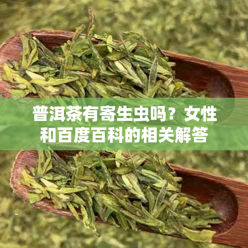 普洱茶有寄生虫吗？女性和百度百科的相关解答