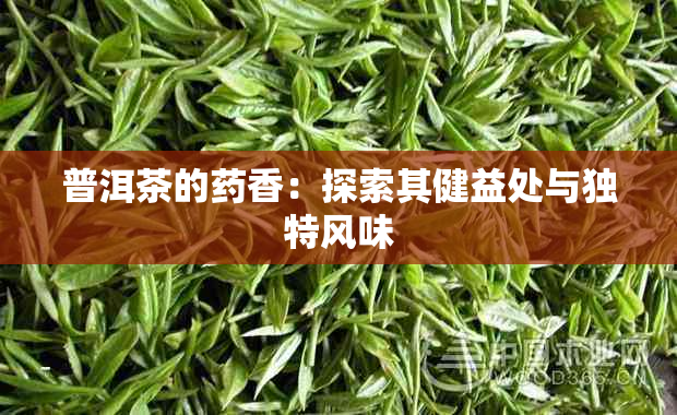 普洱茶的香：探索其健益处与独特风味