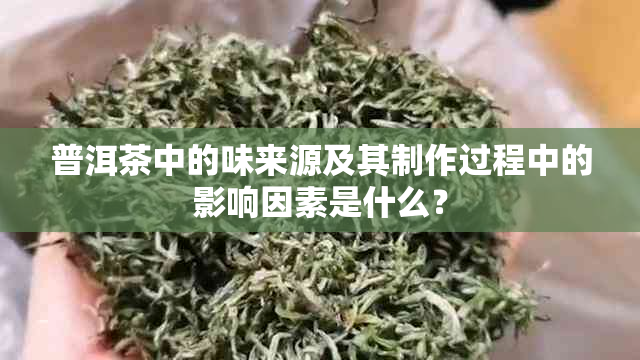 普洱茶中的味来源及其制作过程中的影响因素是什么？