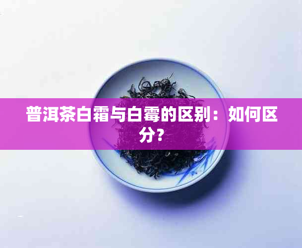 普洱茶白霜与白霉的区别：如何区分？