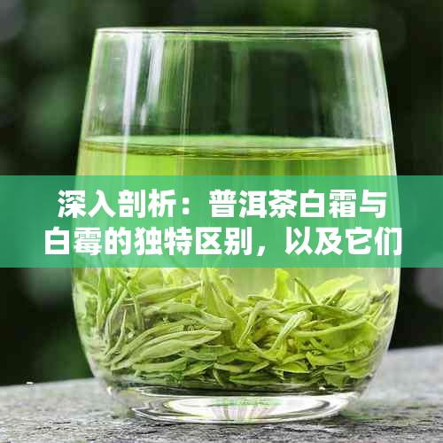 深入剖析：普洱茶白霜与白霉的独特区别，以及它们对茶叶品质的影响