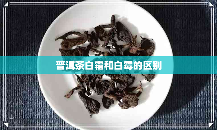 普洱茶白霜和白霉的区别