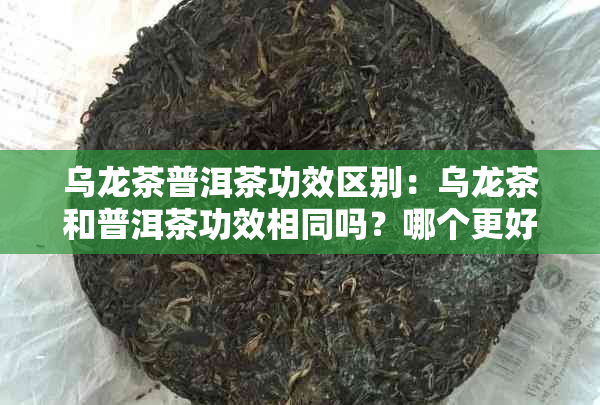 乌龙茶普洱茶功效区别：乌龙茶和普洱茶功效相同吗？哪个更好？