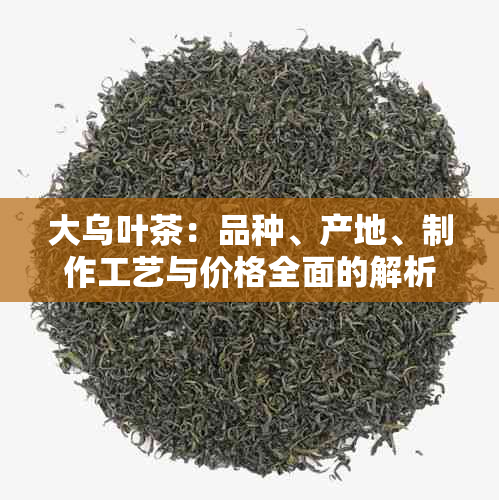 大乌叶茶：品种、产地、制作工艺与价格全面的解析