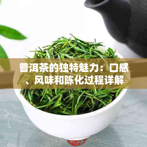 普洱茶的独特魅力：口感、风味和陈化过程详解