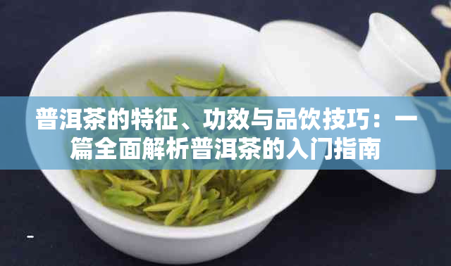 普洱茶的特征、功效与品饮技巧：一篇全面解析普洱茶的入门指南