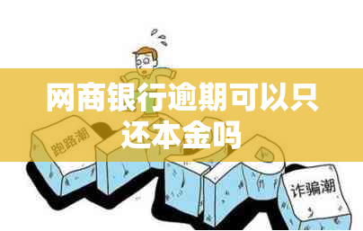 网商银行逾期可以只还本金吗