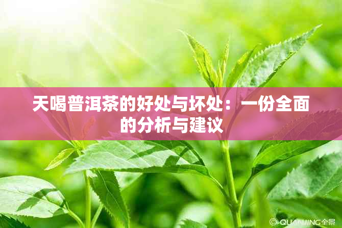 天喝普洱茶的好处与坏处：一份全面的分析与建议