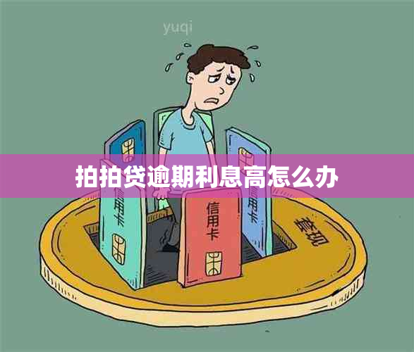 拍拍贷逾期利息高怎么办