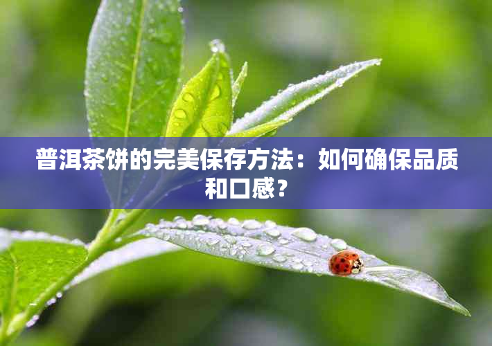 普洱茶饼的完美保存方法：如何确保品质和口感？