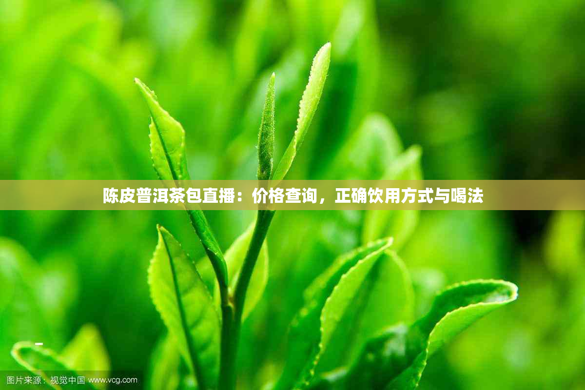 陈皮普洱茶包直播：价格查询，正确饮用方式与喝法