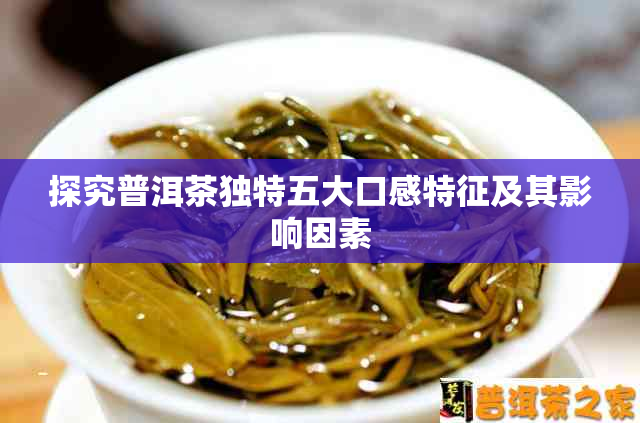 探究普洱茶独特五大口感特征及其影响因素