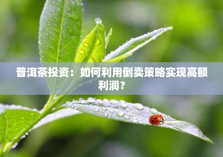 普洱茶投资：如何利用倒卖策略实现高额利润？