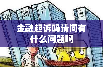 金融起诉吗请问有什么问题吗