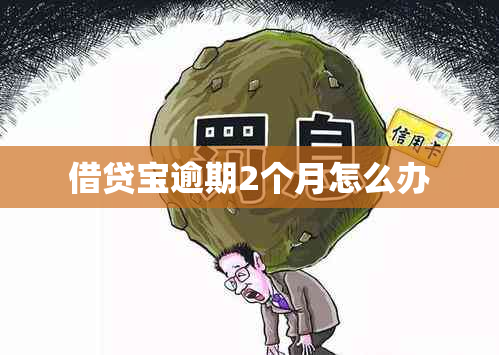 借贷宝逾期2个月怎么办