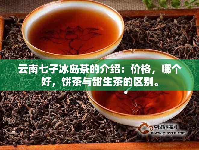 云南七子冰岛茶的介绍：价格，哪个好，饼茶与甜生茶的区别。