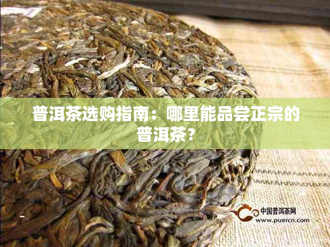 普洱茶选购指南：哪里能品尝正宗的普洱茶？