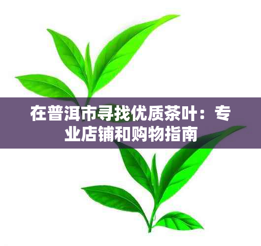 在普洱市寻找优质茶叶：专业店铺和购物指南