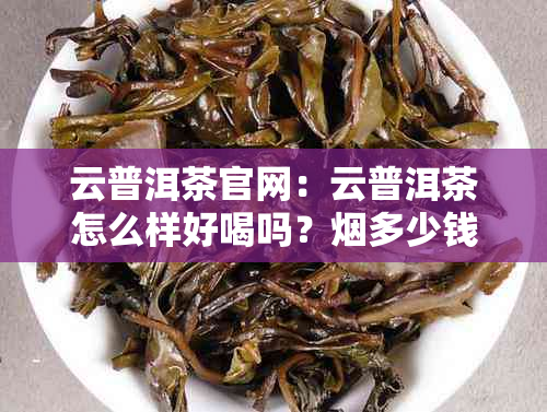 云普洱茶官网：云普洱茶怎么样好喝吗？多少钱一盒？