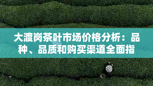 大渡岗茶叶市场价格分析：品种、品质和购买渠道全面指南