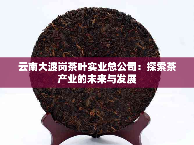 云南大渡岗茶叶实业总公司：探索茶产业的未来与发展