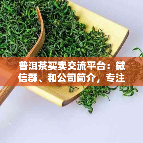 普洱茶买卖交流平台：微信群、和公司简介，专注于普洱茶售卖与出售