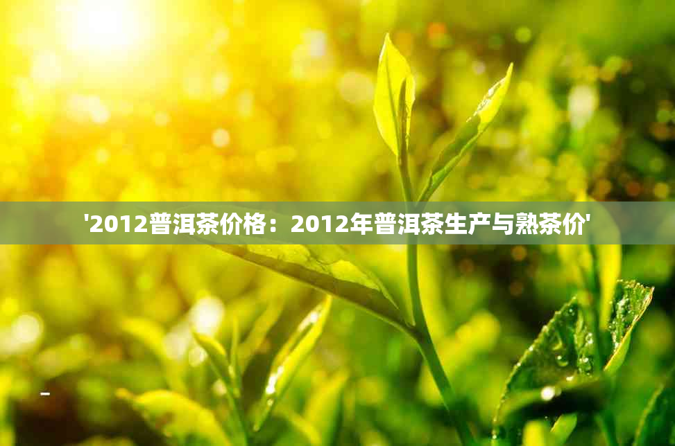 '2012普洱茶价格：2012年普洱茶生产与熟茶价'