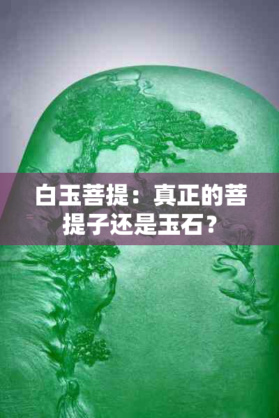 白玉菩提：真正的菩提子还是玉石？