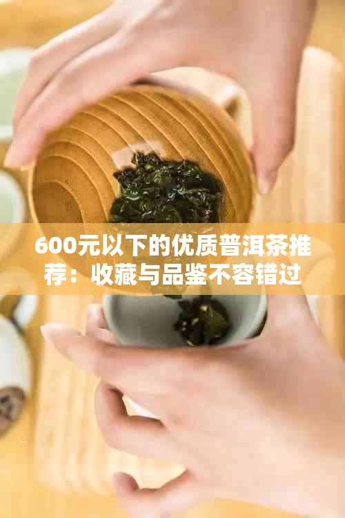 600元以下的优质普洱茶推荐：收藏与品鉴不容错过