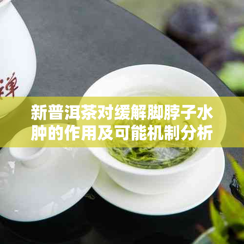 新普洱茶对缓解脚脖子水肿的作用及可能机制分析