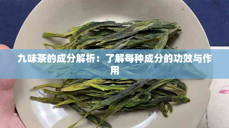 九味茶的成分解析：了解每种成分的功效与作用