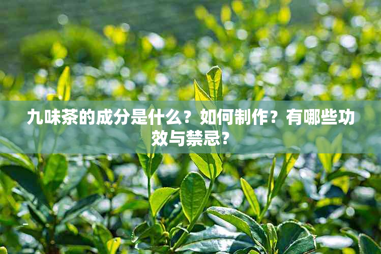 九味茶的成分是什么？如何制作？有哪些功效与禁忌？