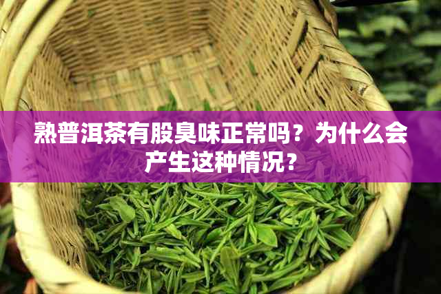 熟普洱茶有股臭味正常吗？为什么会产生这种情况？