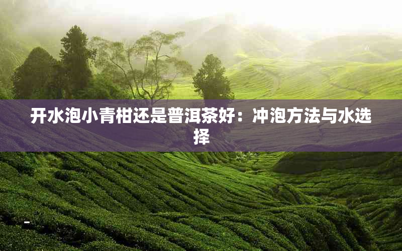 开水泡小青柑还是普洱茶好：冲泡方法与水选择