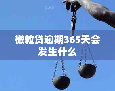 微粒贷逾期365天会发生什么