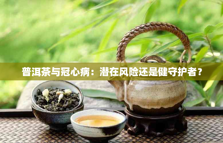 普洱茶与冠心病：潜在风险还是健守护者？