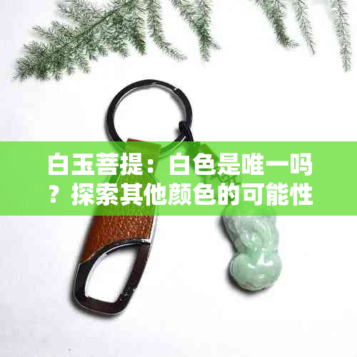 白玉菩提：白色是唯一吗？探索其他颜色的可能性