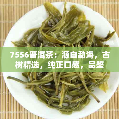 7556普洱茶：源自勐海，古树精选，纯正口感，品鉴宴