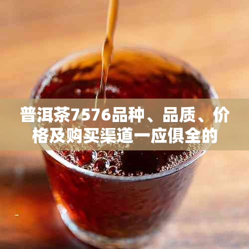 普洱茶7576品种、品质、价格及购买渠道一应俱全的全面指南